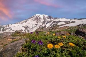 paisagem do parque nacional do monte rainier nos eua foto