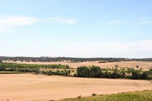 cênico rural panorama foto