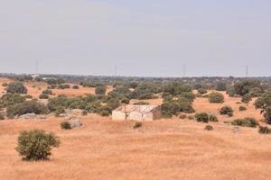 cênico rural panorama foto