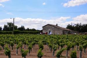 cênico rural panorama foto