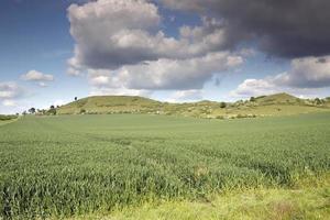 Inglês campo dentro a criança vale foto