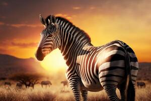 zebra dentro savana africano animais selvagens em pôr do sol fundo, África dia. criada generativo ai foto