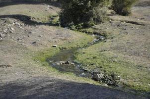 uma pequeno corrente fluxos através uma verde Prado dentro a montanhas. foto