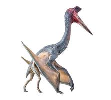a pterossauro , dinossauro em isolado fundo foto