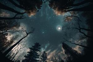 místico floresta com cheio lua e estrelas dentro a noite brilhante céu generativo aiai gerar foto