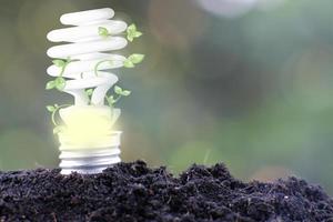 lâmpada economizadora de energia e conceito de crescimento empresarial ou empresarial