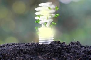 lâmpada salvar mundo e conceito de crescimento de negócios