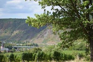 Mosel vale perto bruttig fankel dentro atrasado verão foto