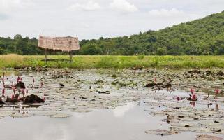 cabana jardineiro dentro Fazenda foto