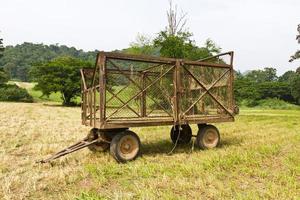 carroça de feno na fazenda foto