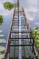 a água tubo acima a lago foto