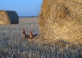 pernas de uma pessoa deitada atrás de um fardo de palha em um campo agrícola foto