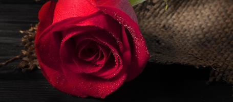 vermelho rosa fechar-se com água gotas em uma de madeira fundo. lindo flor. foto