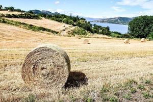 cênico rural panorama foto