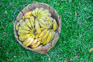 bananas dentro uma rattan cesta foto