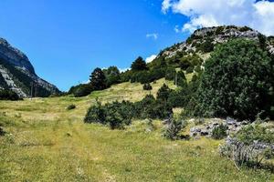 cênico rural panorama foto