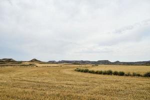 cênico rural panorama foto