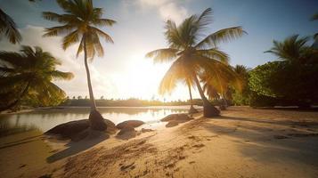 tropical paraíso ou coco Palma de praia ou branco areia lagoa foto