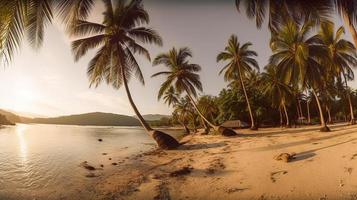 tropical paraíso ou coco Palma de praia ou branco areia lagoa foto