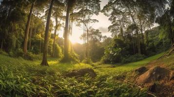 uma pacífico floresta compensação banhado dentro caloroso luz solar, cercado de alta árvores e exuberante folhagem, com uma □ Gentil corrente escorrendo através a vegetação rasteira e uma distante montanha alcance visível foto