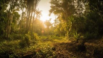 uma pacífico floresta compensação banhado dentro caloroso luz solar, cercado de alta árvores e exuberante folhagem, com uma □ Gentil corrente escorrendo através a vegetação rasteira e uma distante montanha alcance visível foto