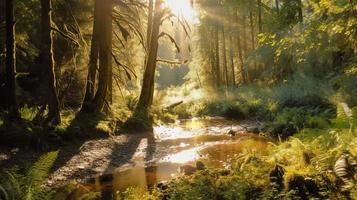 uma pacífico floresta compensação banhado dentro caloroso luz solar, cercado de alta árvores e exuberante folhagem, com uma □ Gentil corrente escorrendo através a vegetação rasteira e uma distante montanha alcance visível foto