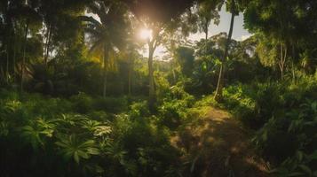 uma pacífico floresta compensação banhado dentro caloroso luz solar, cercado de alta árvores e exuberante folhagem, com uma □ Gentil corrente escorrendo através a vegetação rasteira e uma distante montanha alcance visível foto