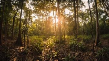 uma pacífico floresta compensação banhado dentro caloroso luz solar, cercado de alta árvores e exuberante folhagem, com uma □ Gentil corrente escorrendo através a vegetação rasteira e uma distante montanha alcance visível foto