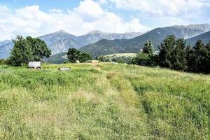 cênico rural panorama foto