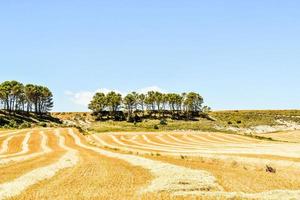 cênico rural panorama foto