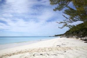 metade lua cay ilha esvaziar arenoso de praia foto