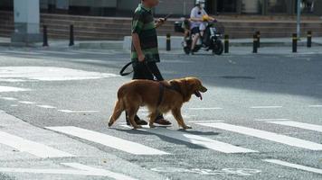 Guangzhou cidade, China, 2022 - a cidade rua Visão com a mascarar pessoas caminhando em a estrada durante a convidar 19 foto