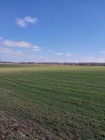 panorama do uma verde campo semeado dentro Primavera foto