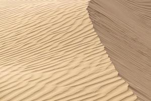bela duna de areia no deserto de thar, jaisalmer, rajasthan, india.