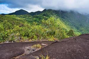 copolia trilha, Visão do a pico do manhã blanc montanha, mahe seychelles foto