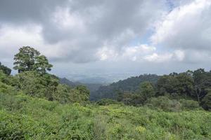 panorama do verde chá jardim em a topo montanha com nublado anda azul céu. a foto é adequado para usar para meio Ambiente fundo, natureza poster e natureza conteúdo meios de comunicação.