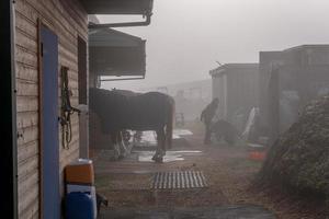 cavalo estábulos em uma enevoado manhã foto