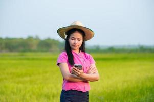 ásia fêmea agricultor segurando tábua caminhando dentro arroz campo para loja em formação foto