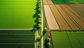 generativo ai, Fazenda paisagem, agrícola Campos, lindo interior, país estrada. natureza ilustração, fotorrealista topo Visão drone, horizontal bandeira. foto