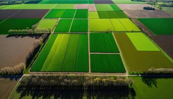 generativo ai, Fazenda paisagem, agrícola Campos, lindo interior, país estrada. natureza ilustração, fotorrealista topo Visão drone, horizontal bandeira. foto