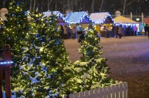 Natal cidade fundo .Natal árvores às a festivo justo. foto