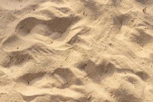 textura de areia na praia para fundo de verão foto