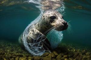 uma bebê foca preso dentro plástico detritos flutuando dentro a norte pacífico, embaixo da agua fotografia. a conceito do a ecológico desastre causou de plástico lixo. ai gerado foto