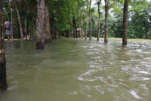 a rural áreas do Bangladesh visto muito lindo durante a inundações foto