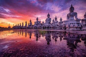 muitos estátua Buda imagem às pôr do sol dentro sulista do Tailândia foto