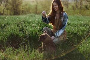 jovem ruiva mulher jogando dentro natureza com dela cachorro dentro ensolarado parque às pôr do sol dentro verão foto