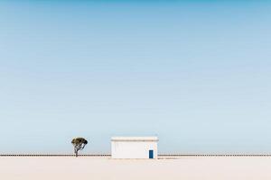 solitário casa dentro a deserto com uma árvore. ilustração ai generativo foto