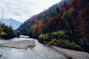 floresta montanhas outono rio viagem natureza panorama foto