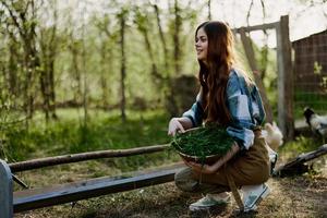 uma jovem mulher agricultor senta às uma pássaro alimentador e Verificações a composição do a grão para alimentação a galinhas dentro uma caneta dentro a campo foto