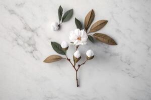 algodão flor ramo em branco mármore fundo. ilustração ai generativo foto
